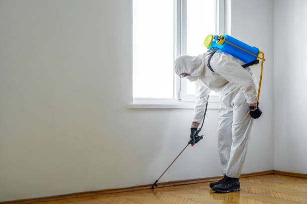 Reliable Creedmoor, NC Pest Control Solutions